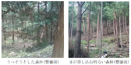 ライオン、「ライオン山梨の森」に関する第3期森林整備協定締結
