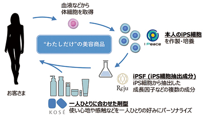 コーセー、iPS細胞を活用したパーソナライズ美容商品の展開へ