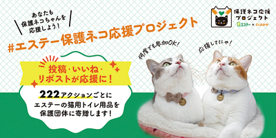 エステー、SNS活用して保護猫団体に猫用トイレ用品寄贈キャンペ実施中